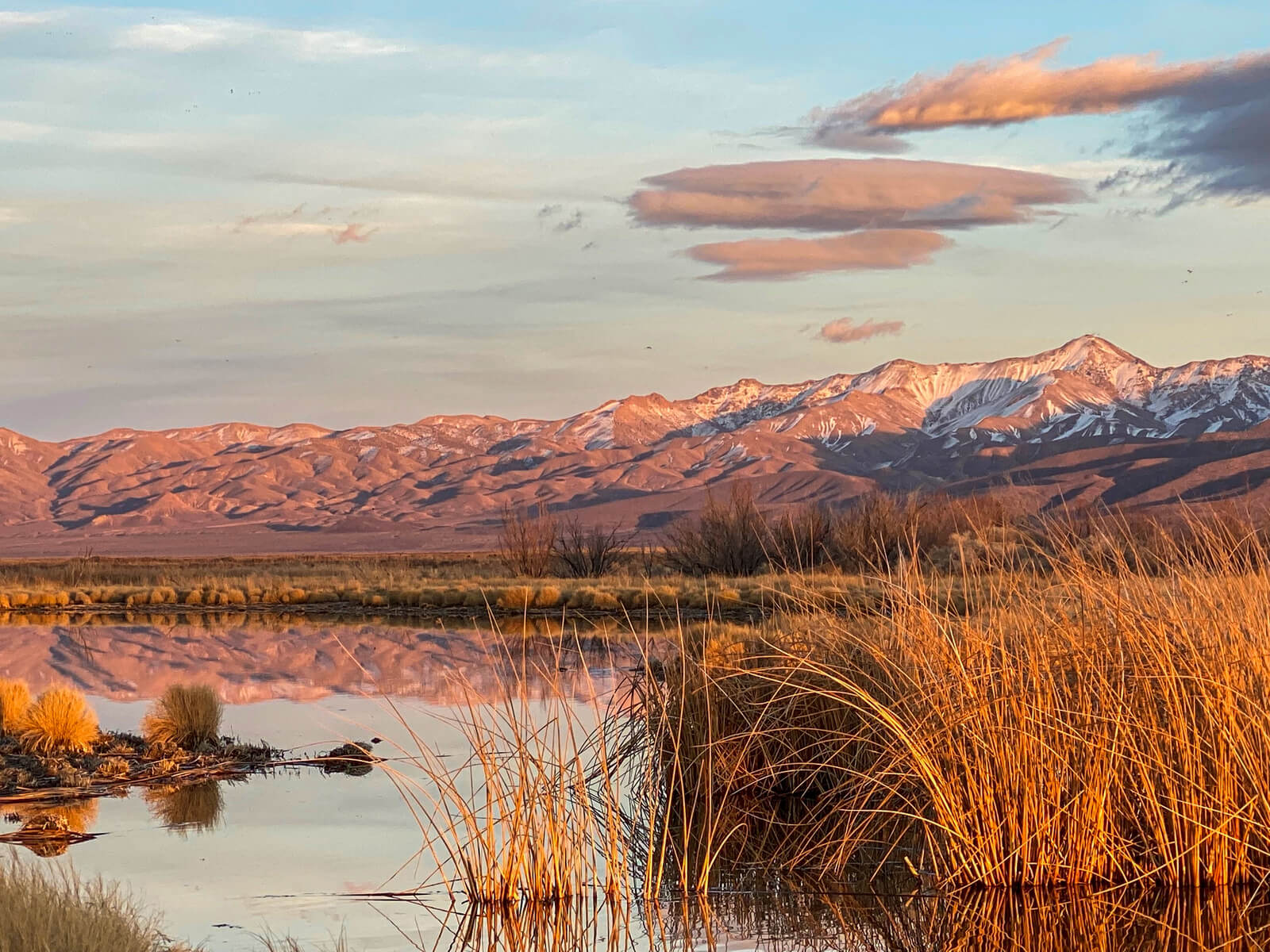 Great Basin Ducks Unlimited